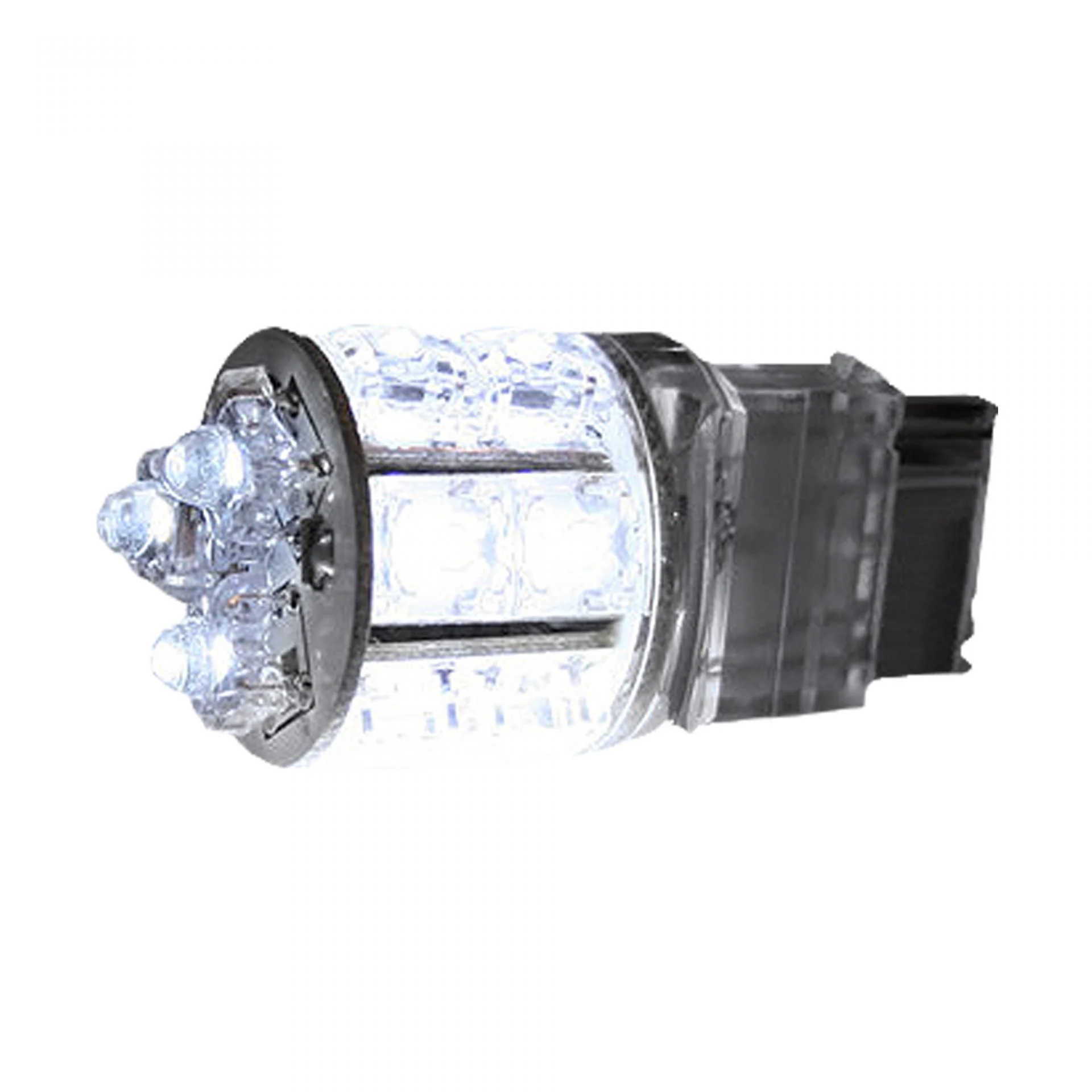 3156 360 Degree 13 LED Bulb in White
